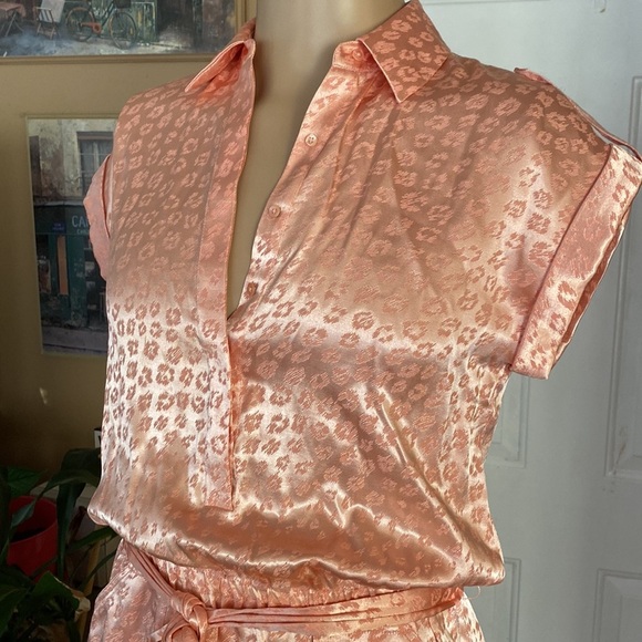 Joie daran sunset blush dress. G - Picture 4 of 10